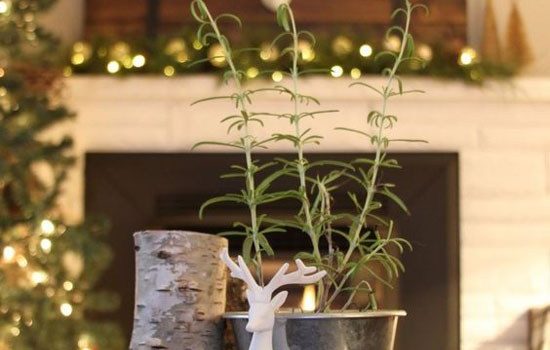 Warm & Festive Rustic Christmas decoration ideas – Simplicity that’s the Smart & Sophisticated